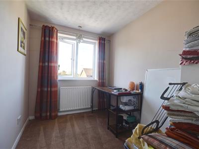 Picture 11